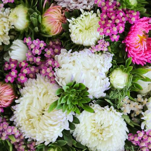 Photo #11966910