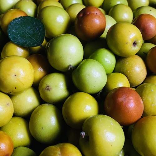 Photo #11966912