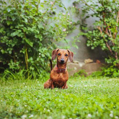 Photo #11966918
