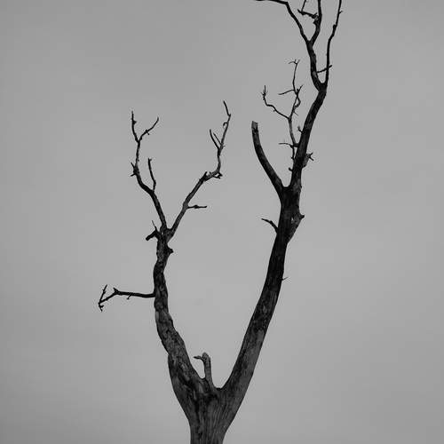 Photo #11966926