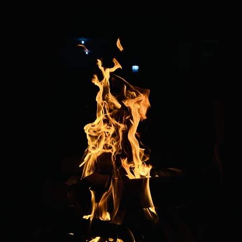 Photo #11966930