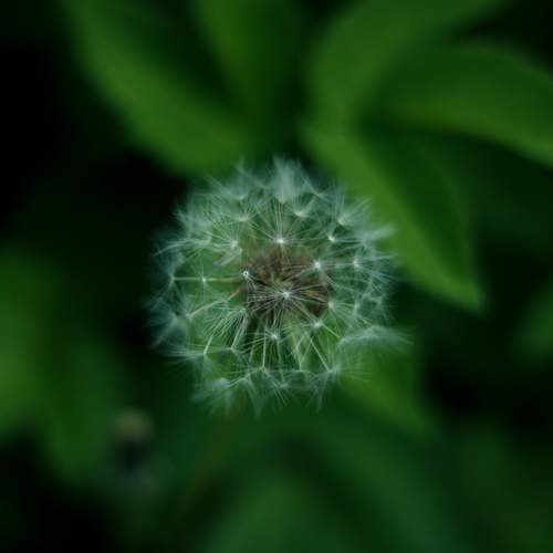 Photo #11966962