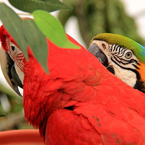 Photo #11967066