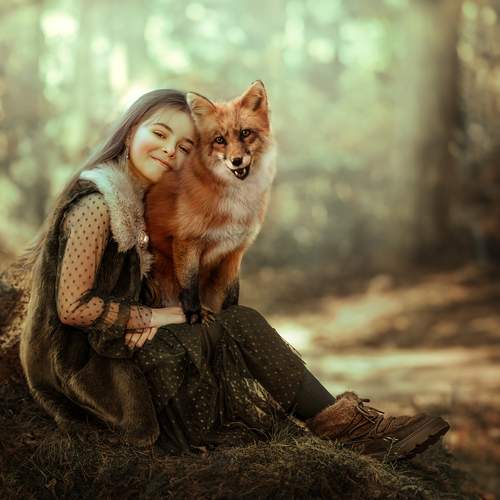 Dreaming in the forest
