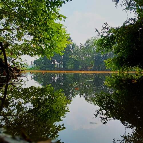 Photo #11967154