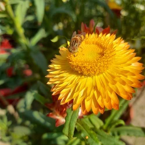 Photo #11967186