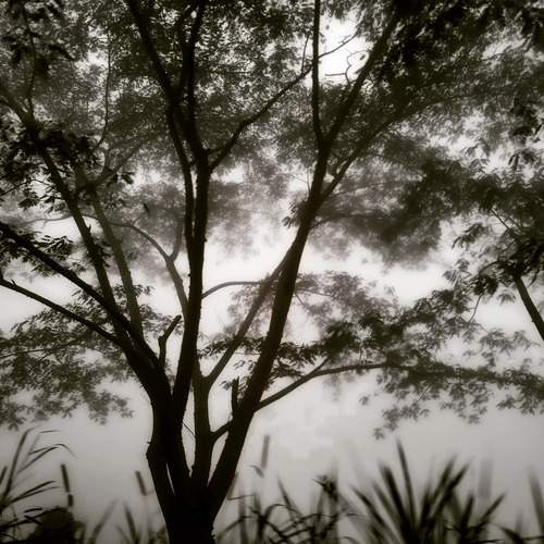 Photo #11967624