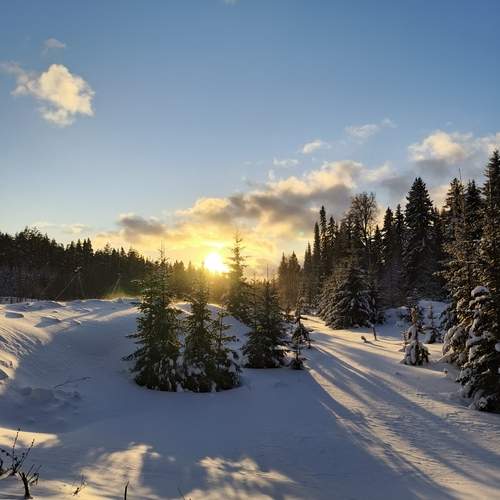 Photo #11967638