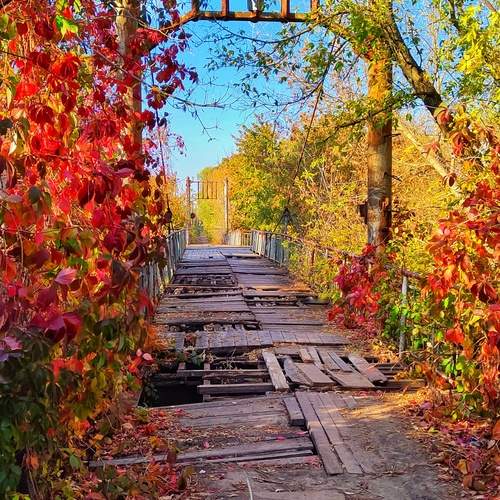 Photo #11967664