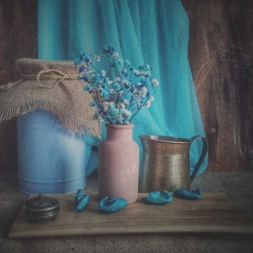 Photo #11967855