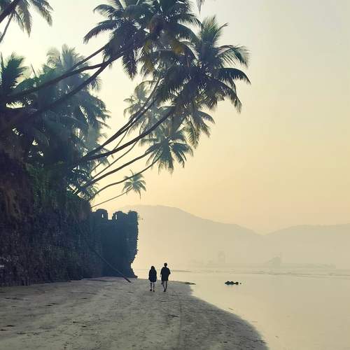 Photo #11968012
