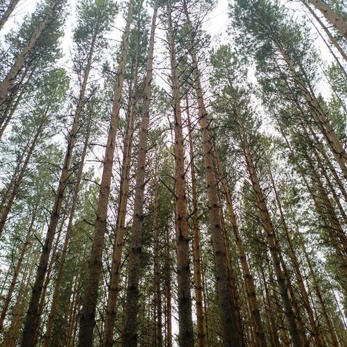 Photo #11968032