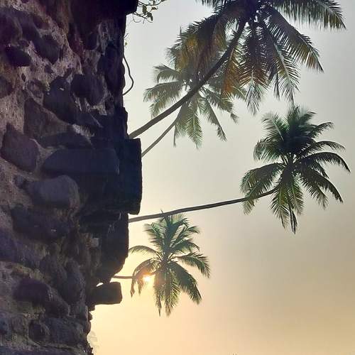 Photo #11968068