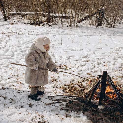 Photo #11968167