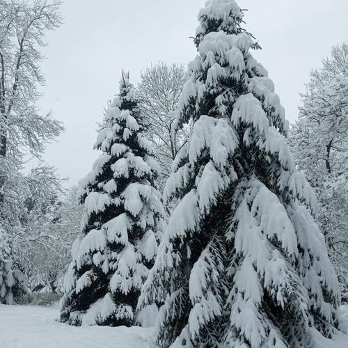 Photo #11968558