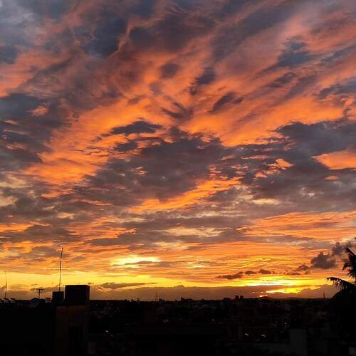 Photo #11968639