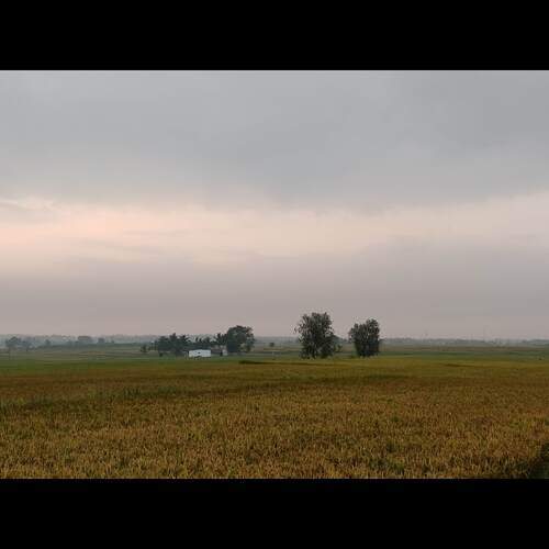 Photo #11968640