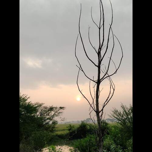Photo #11968641