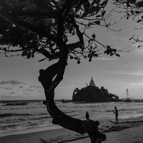 Photo #11968743