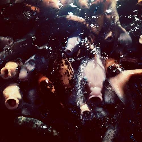 Photo #11968812