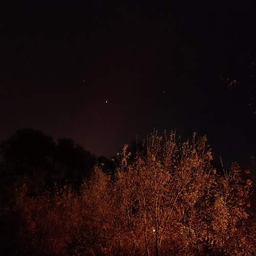 Photo #11968881