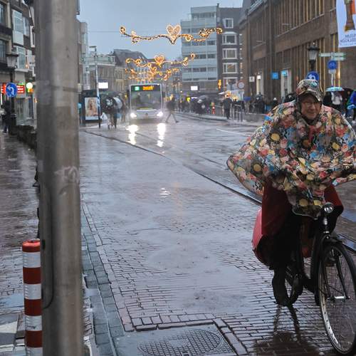 Photo #11969329