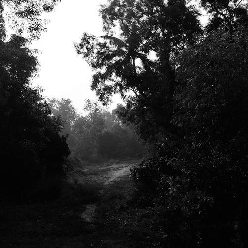 Photo #11969460