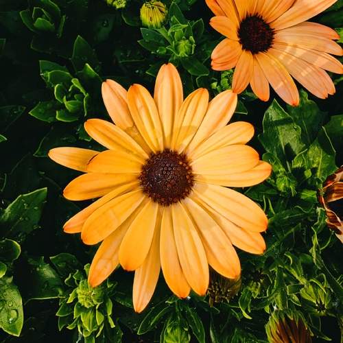 Photo #11969560