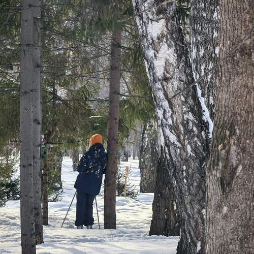 Photo #11969768