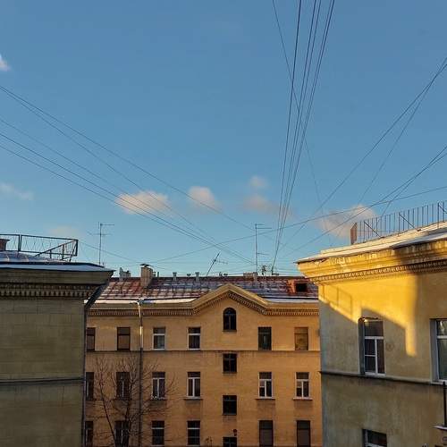 Photo #11970184