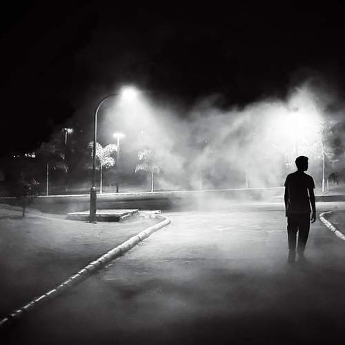 Photo #11970520