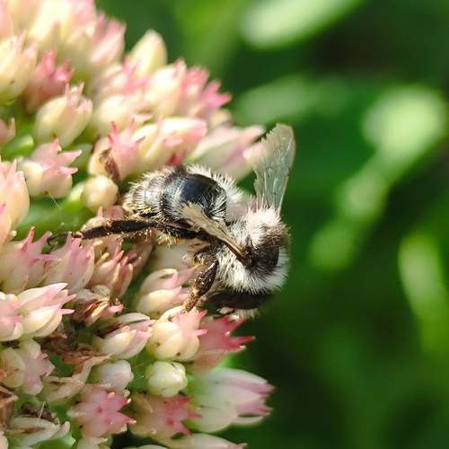Photo #11970692