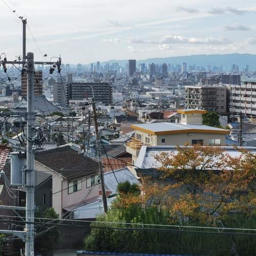 Photo #11970694