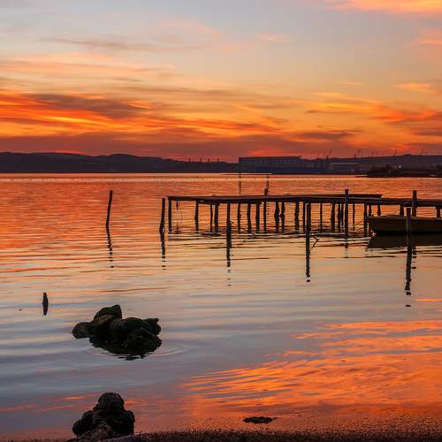 Photo #11970774