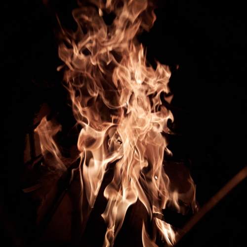 Photo #11970824