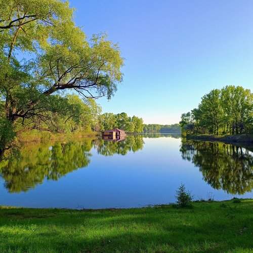 Photo #11970828