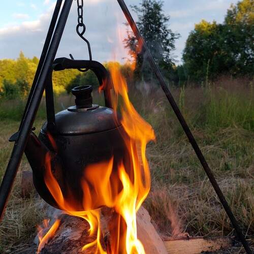 Photo #11970894
