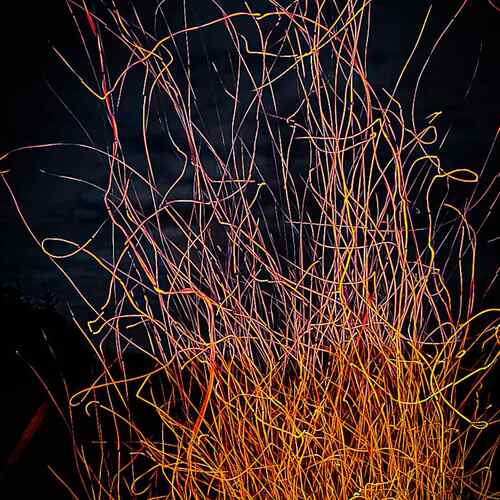 Photo #11971105