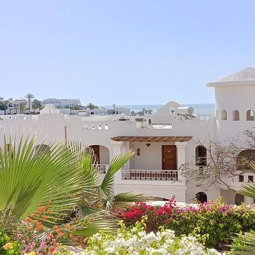 Photo #11971130