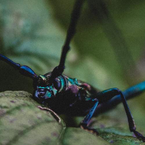 Photo #11971360