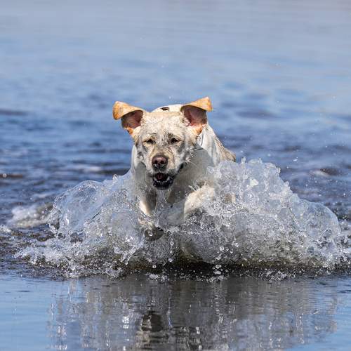Photo #11971450