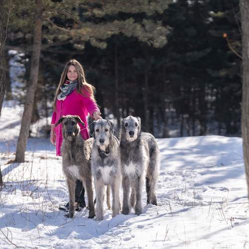 Photo #11971488