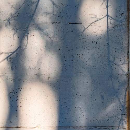 Photo #11971539