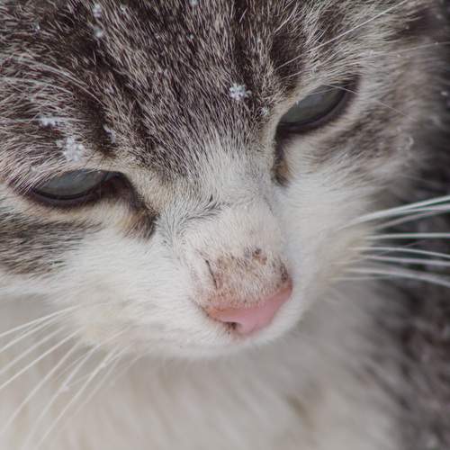 Photo #11971736