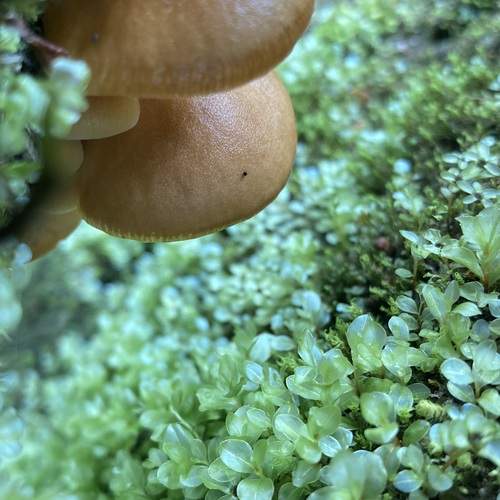 Photo #11971751