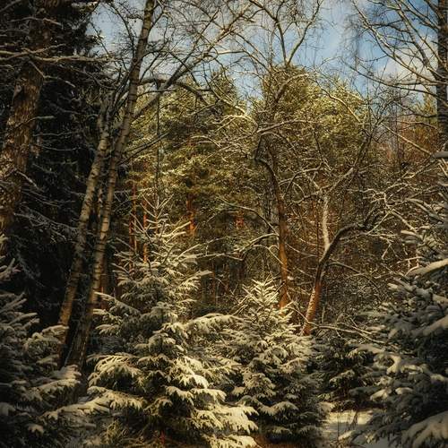 Photo #11971945