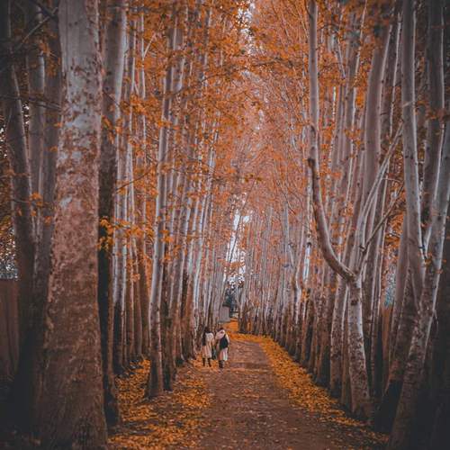 A colorful alley in Shahriar