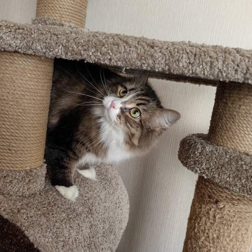 Photo #11972048