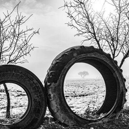 Tires and nature