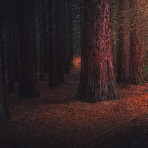 Photo #11972207